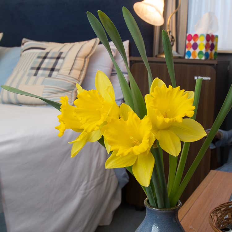 Yesterdays Newtown flowers in bedroom